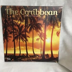 Painting/Paper Projects 2019 Caribbean Calendar